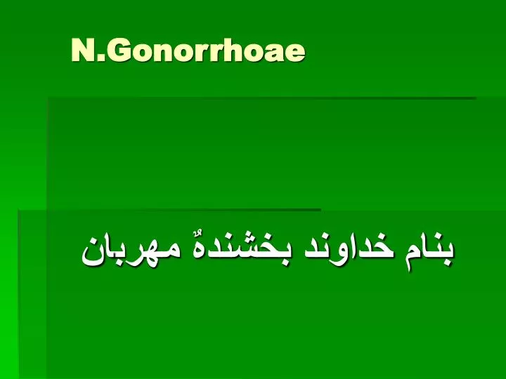 n gonorrhoae
