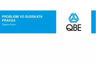 problemi vo sudskata praksa