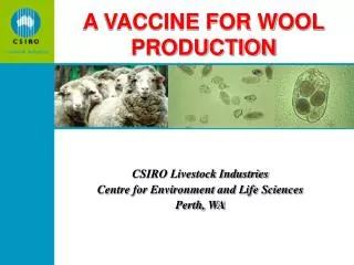 A VACCINE FOR WOOL PRODUCTION