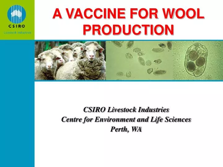 a vaccine for wool production