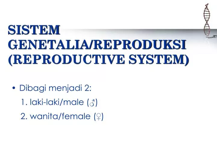 sistem genetalia reproduksi reproductive system