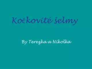 ko kovit elmy