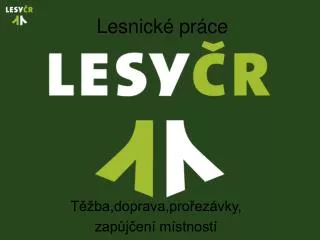 lesnick pr ce