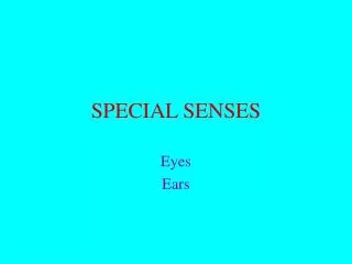 special senses
