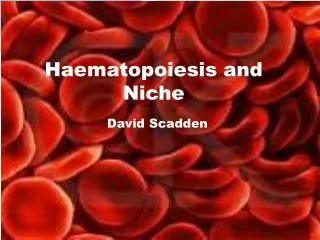 Haematopoiesis and Niche