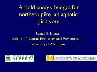 A field energy budget for northern pike, an aquatic piscivore