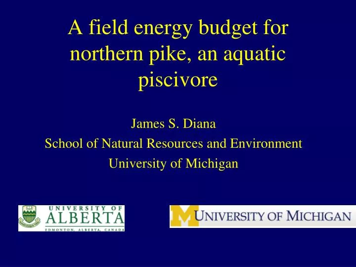 a field energy budget for northern pike an aquatic piscivore