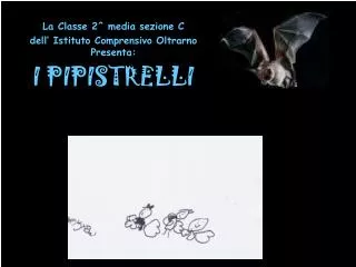 i pipistrelli