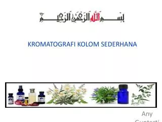 kromatografi kolom sederhana