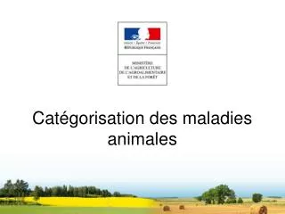 cat gorisation des maladies animales