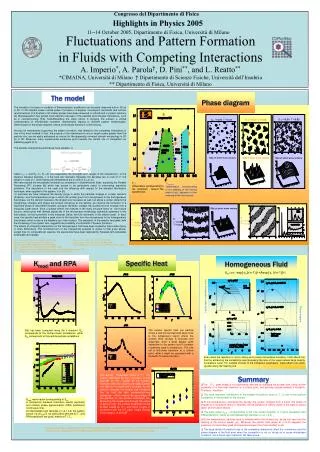 Fluctuations and Pattern Formation in Fluids with Competing Interactions