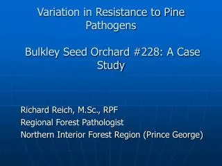 Variation in Resistance to Pine Pathogens Bulkley Seed Orchard #228: A Case Study