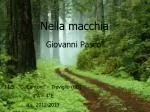 Nella macchia - slide 1