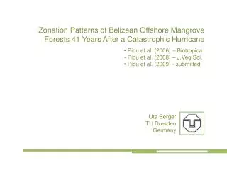 Zonation Patterns of Belizean Offshore Mangrove Forests 41 Years After a Catastrophic Hurricane