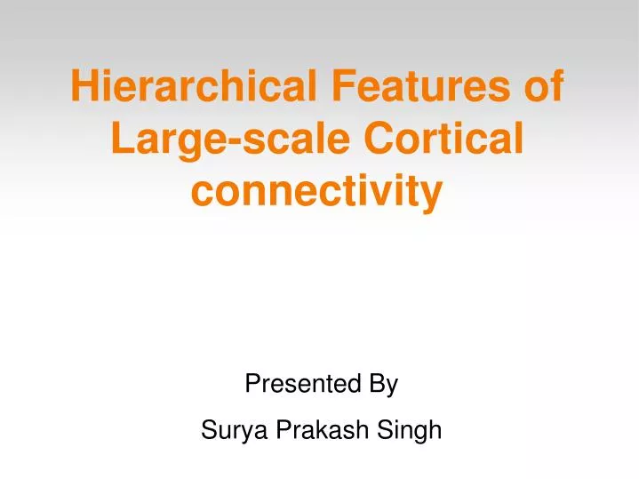 hierarchical features of large scale cortical connectivity