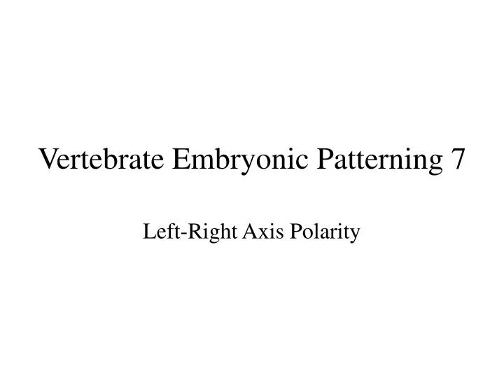 vertebrate embryonic patterning 7