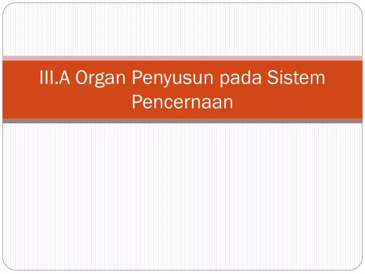iii a organ penyusun pada sistem pencernaan