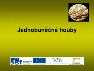 jednobun n houby