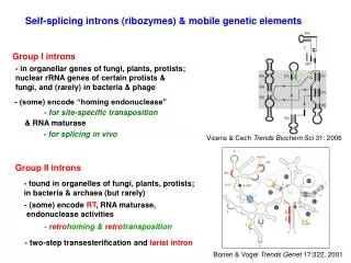 Group I introns