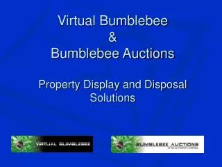 Virtual Bumblebee &amp; Bumblebee Auctions Property Display and Disposal Solutions