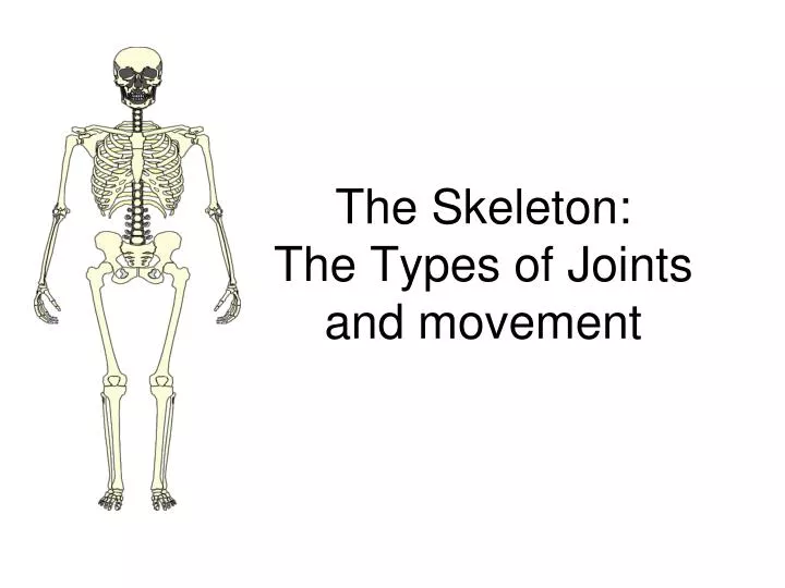 the skeleton the types of joints and movement