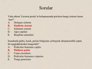 sorular