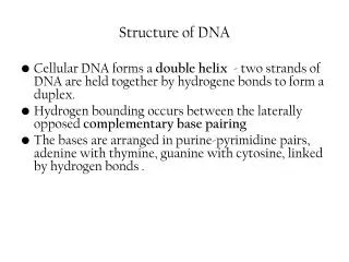 S tructure of DNA