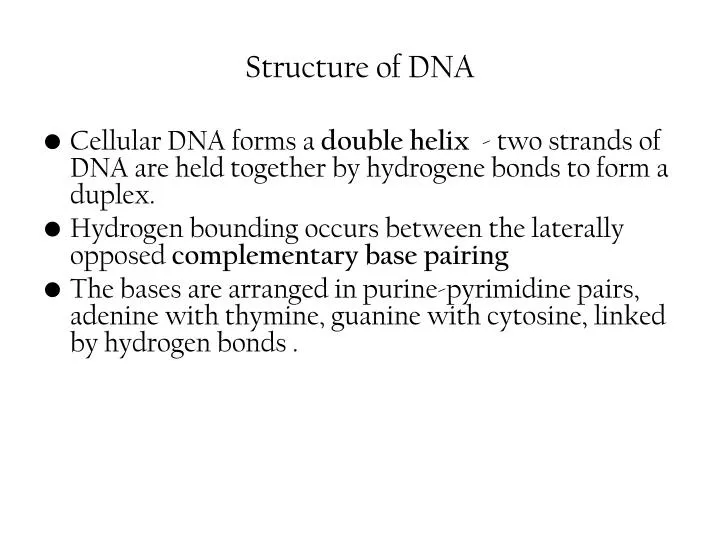 s tructure of dna
