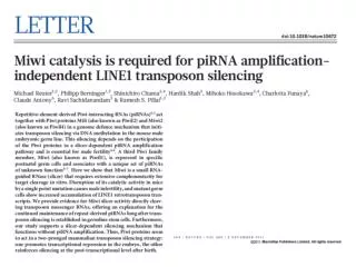 The Biogenesis and Function of PIWI Proteins and piRNAs: Progress and Prospect