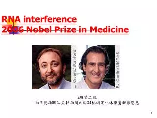 RNA interference 2006 Nobel Prize in Medicine