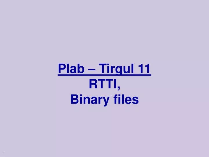 plab tirgul 11 rtti binary files