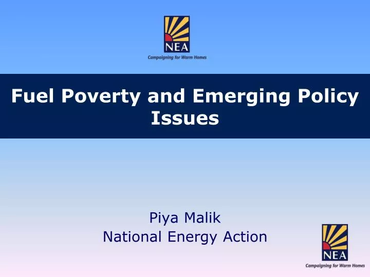 fuel poverty and emerging policy issues