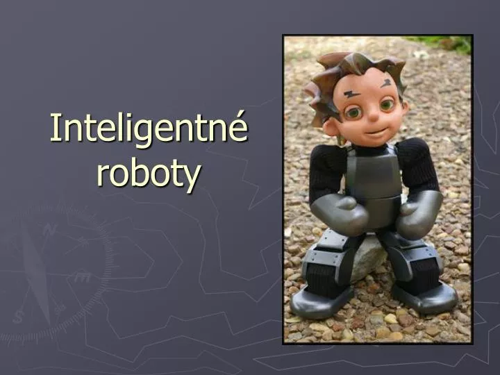 inteligentn roboty