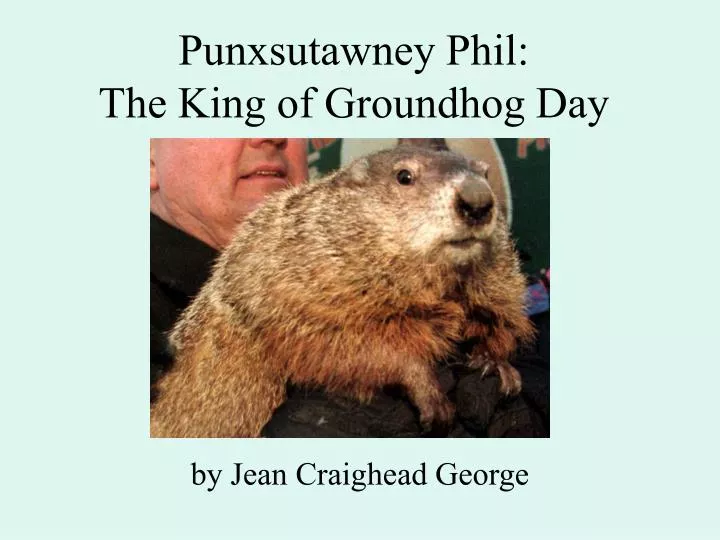 punxsutawney phil the king of groundhog day