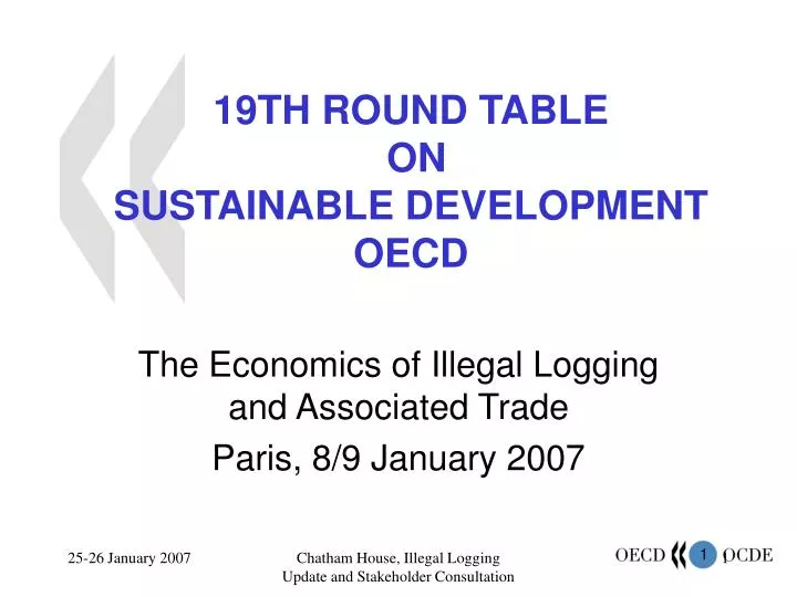 19th round table on sustainable development oecd