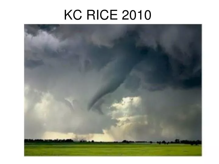 kc rice 2010
