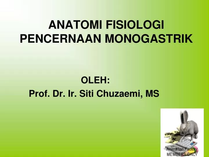 anatomi fisiologi pencernaan monogastrik