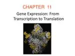 CHAPTER 11 - slide 1