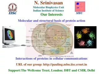 Our Interests Molecular and structural basis of protein action