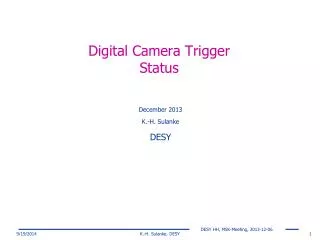 Digital Camera Trigger Status