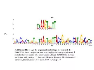 Additional file 4: (A), the alignment match logo for element ?: