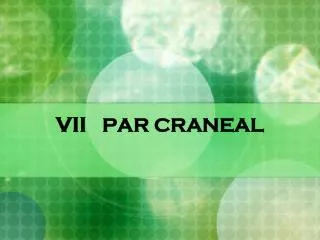 vii par craneal
