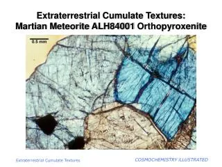 Extraterrestrial Cumulate Textures: Martian Meteorite ALH84001 Orthopyroxenite