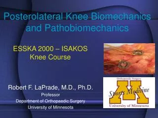 Posterolateral Knee Biomechanics and Pathobiomechanics