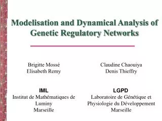 Modelisation and Dynamical Analysis of Genetic Regulatory Networks