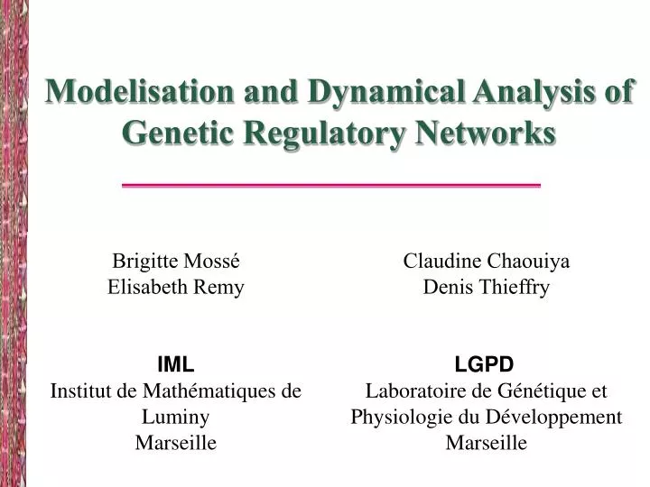 modelisation and dynamical analysis of genetic regulatory networks