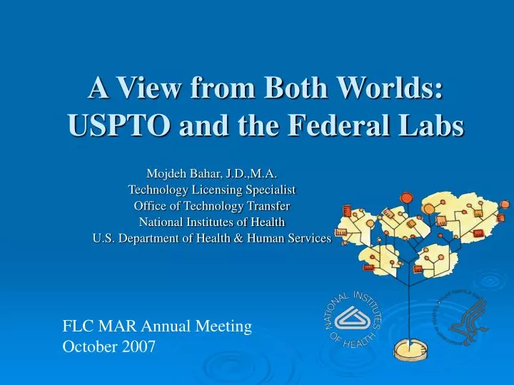 a view from both worlds uspto and the federal labs