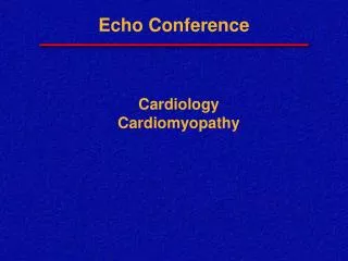 Echo Conference
