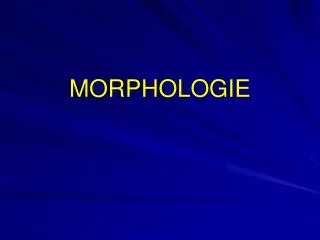 morphologie