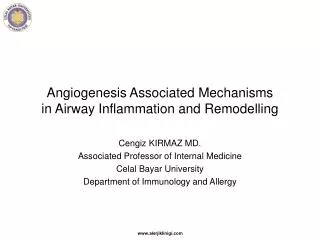 Angiogenesis Associated Mechanisms in Airway Inflammation and Remodelling